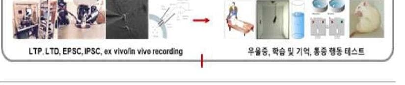 뉴로라이브 제품 이미지