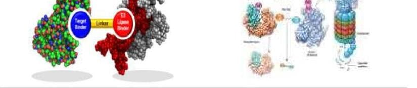 업테라 제품 이미지