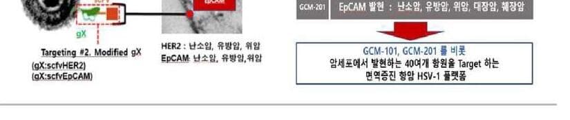 젠셀메드 제품 이미지