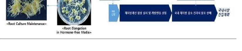 아몽 제품 이미지