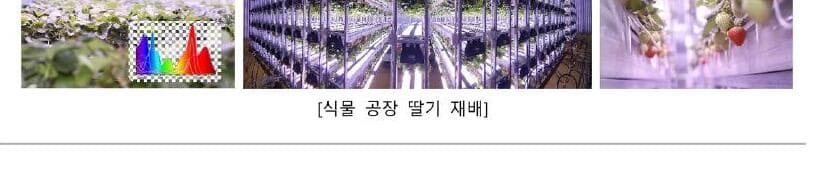 엘앤피 제품 이미지