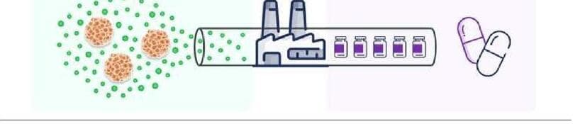 스페바이오 제품 이미지