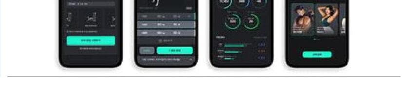 플랜핏 제품 이미지