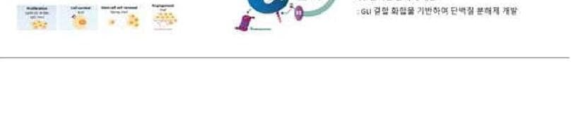 헤지호그 제품 이미지