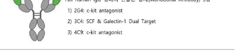 노벨티노빌리티 제품 이미지