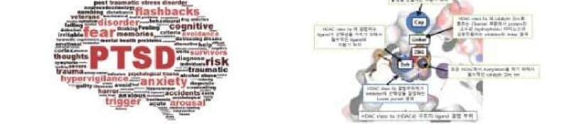 비엔에이치리서치 제품 이미지