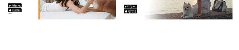 페텔 제품 이미지