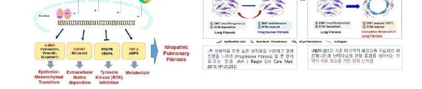 에프엔씨티바이오텍 제품 이미지