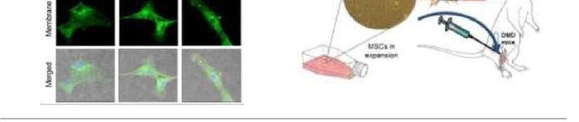 큐라미스 제품 이미지