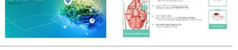 뉴롤메드 제품 이미지