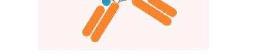 오름테라퓨틱 제품 이미지