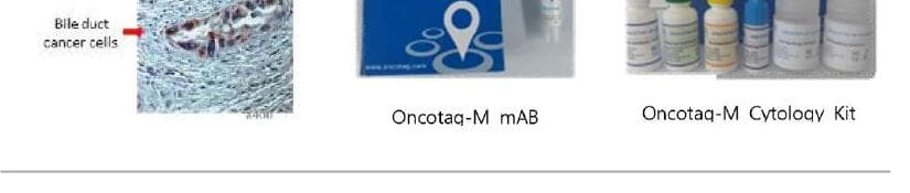 온코태그디아그노스틱 제품 이미지