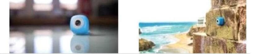 포도코리아 제품 이미지