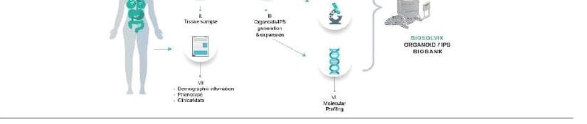 바이오솔빅스 제품 이미지