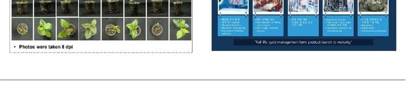 솔 붐 제품 이미지