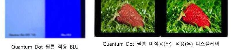 이노큐디 제품 이미지