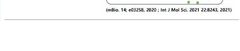 안단테에프엠 제품 이미지