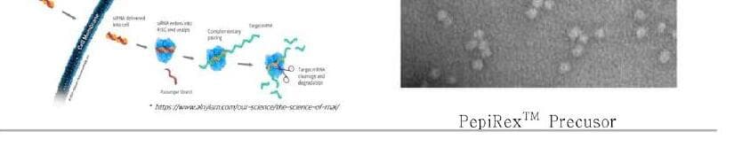 에스스킨 제품 이미지