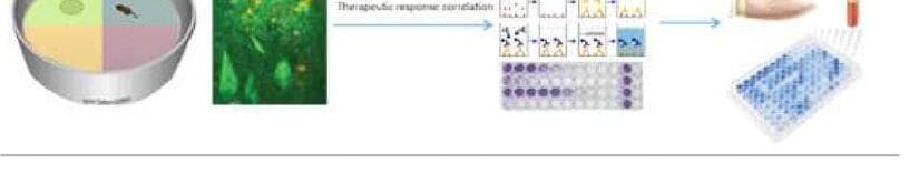 아델 제품 이미지